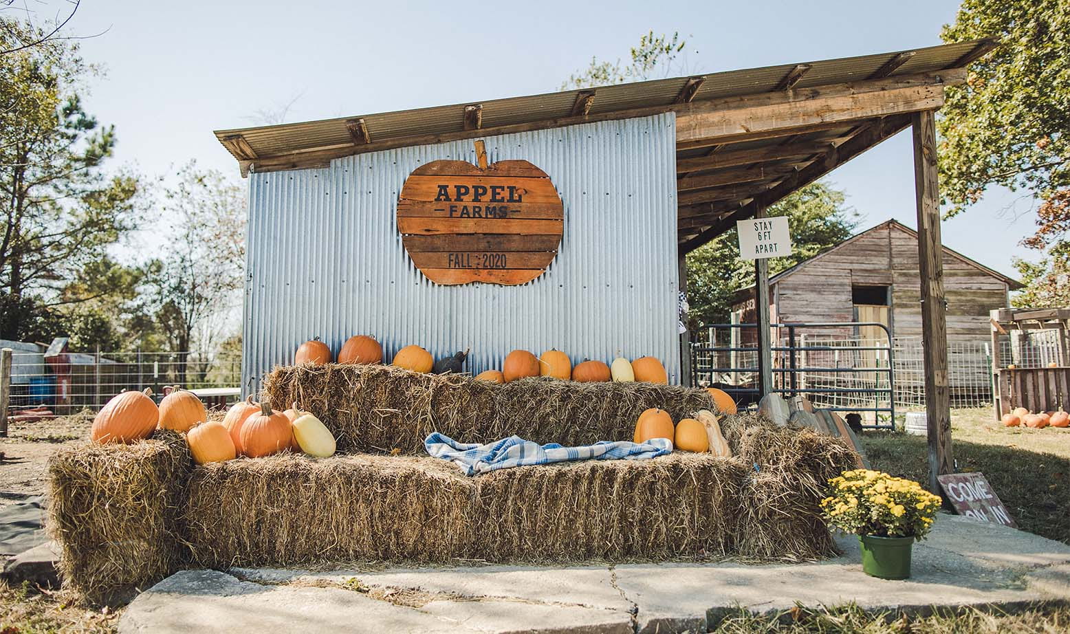 Apple Farms shed with logo and pumpkins around the shed