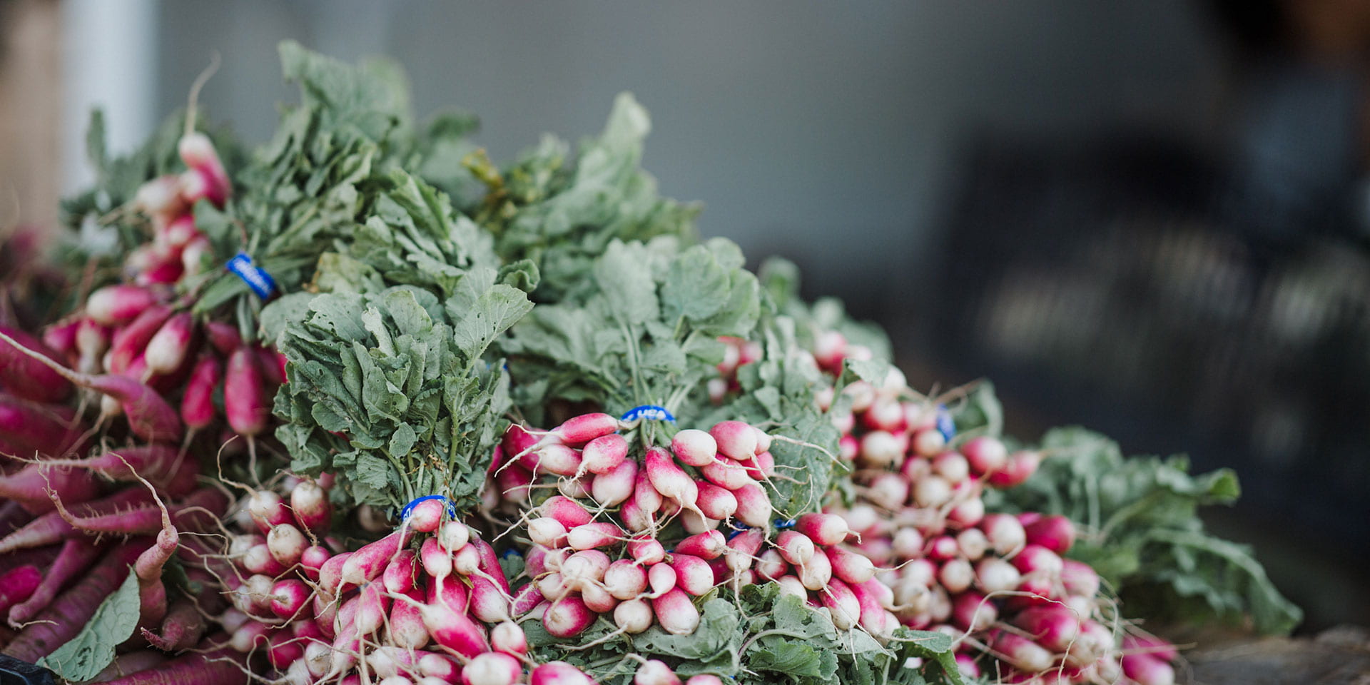 CAFF Radishes bunches stacked on top of each other
